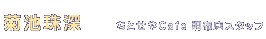 X^bt